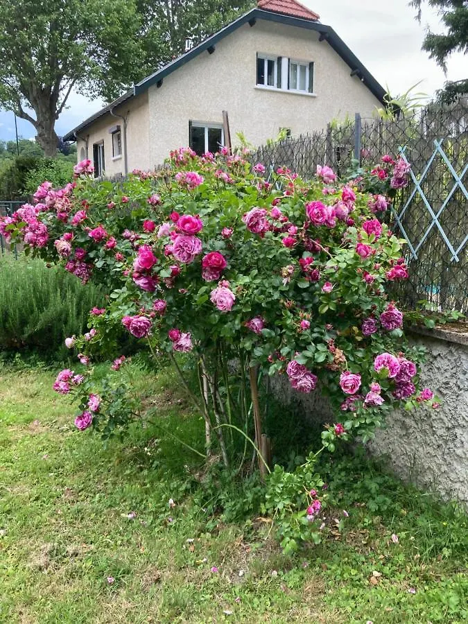 Séjour chez l'habitant Comme A La Maison ! Caluire-et-Cuire
